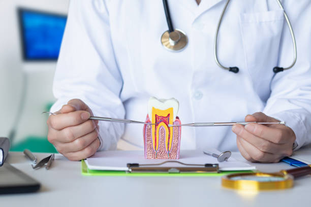 Best Emergency Dental Care for Broken or Chipped Teeth in Grayson, CA